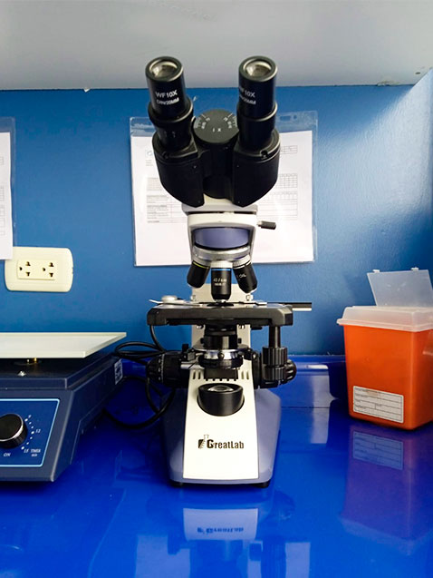 microscopio-para-examenes.jpg