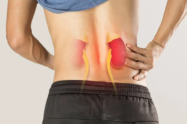 laboratorio-asistencial-perfil-renal-clinicas-ocupacionales